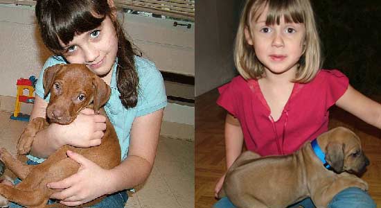 Socialize your puppy everyday.