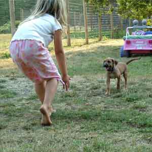 Teaching the Recall Command