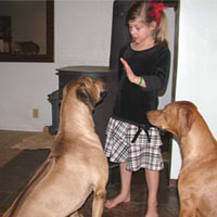 Your dog must wait and be attentive to everyone in your family